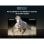 TCL LED 55" 55P6K UltraHD 4K Dolby Audio HDR10 Google TV