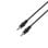 Câble AISENS A128-0144 Jack 3,5 mm mâle-mâle 10 m Noir RoHS 0,1 W
