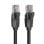 Cable de red Vention IBEBK Cat.6 8m UTP negro chapado en oro 1000 Mbps