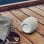 Altavoces Energy Sistem Portátiles Bluetooth 5.3 10W luces LED TWS manos libres e IPX6