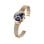 Smartwatch Maxcom Fit FW42 Bluetooth 5.0 IP68 1.09? TFT Monitor Salud Mujer