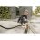 Karcher Wd 2 Plus V-12/6/18/c Aspiradora Sólidos/Líquidos 1000W Amarillo