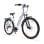 Bicicleta eléctrica Alfa Torque 70Nm 36V 20Ah 90km HID Aluminio LED LCD Blanca