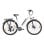 Alfa 250W 36V 20Ah weißes Elektrofahrrad mit 100km Reichweite und LCD-Display und Scheibenbremsen