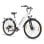 Alfa 250W 36V 20Ah weißes Elektrofahrrad mit 100km Reichweite und LCD-Display und Scheibenbremsen