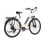 Alfa 250W 36V 20Ah weißes Elektrofahrrad mit 100km Reichweite und LCD-Display und Scheibenbremsen