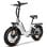 Alfa 250W 36V 25Ah LCD Elektrofahrrad mit 20x4″ Rädern und Hinterradfederung