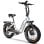 Alfa 250W 36V 25Ah LCD Elektrofahrrad mit 20x4″ Rädern und Hinterradfederung