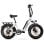 Alfa 250W 36V 25Ah LCD Elektrofahrrad mit 20x4″ Rädern und Hinterradfederung