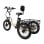 Tricycle électrique OneSport avec batterie amovible 48V 13Ah, pneus 20x3.0, cadre bas, pliable