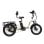 Tricycle électrique OneSport avec batterie amovible 48V 13Ah, pneus 20x3.0, cadre bas, pliable