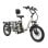Tricycle électrique OneSport avec batterie amovible 48V 13Ah, pneus 20x3.0, cadre bas, pliable