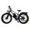 Bicicletta elettrica PVY MAX26 doppio motore 1200W freni idraulici pneumatici 26" Shimano 7V