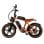Bicicleta eléctrica PVY X20 48V 30Ah 80Nm Motor de buje doble batería Li-Ion CE