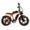Bicicleta eléctrica PVY X20 48V 30Ah 80Nm Motor de buje doble batería Li-Ion CE