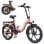 Bicicleta eléctrica HillMiles MilePort 1 250W 36V13Ah 20? Shimano 7 velocidades Rojo