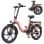 Bicicleta eléctrica HillMiles MilePort 1 250W 36V13Ah 20? Shimano 7 velocidades Rojo
