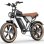Ridstar Q20 750W Fatbike 20x4,0" vollgefedertes All-Terrain-Elektrofahrrad