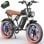 Ridstar Q20 750W Fatbike 20x4,0" vollgefedertes All-Terrain-Elektrofahrrad