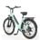 Bicicleta eléctrica HillMilES Motor 250W Batería 36V 13Ah Sensor de Par 26x1.95