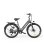 Bici elettrica HillMiles 250W 36V 13Ah con sensore di coppia, pneumatici 26x1,95