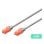 Cavo rosso Ewent Im1012 Cat.6 U/utp 2m