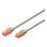 Cavo rosso Ewent Im1012 Cat.6 U/utp 2m
