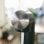 Brita sodaONE Sprudelwasserbereiter, Schwarz/Silber, PET, 129 mm x 240 mm x 450 mm