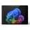 Microsoft Surface Pro 11 Copilot+ PC Wi-Fi Qualcomm Snapdragon X Plus/16 Go/SSD 256 Go/13" Platine