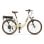 Bicicleta eléctrica Nilox 250W 65km autonomía 26? 6 velocidades LED beige/marrón