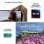 Apple iPhone 16 Plus 256GB Dual-Kamera 48MP Display 6,7″ Super Retina XDR schwarz