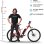Bicicleta eléctrica EMotorad T-Rex Air 29” 250W 65km LCD Shimano Suspensión Disco