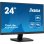 Monitor iiyama 23.8? 1080p 100Hz IPS LED Adaptive Sync Flicker Free Altavoces USB VESA