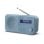 Radio Sharp DR-P420(BL) Azul DAB/DAB+/FM Bluetooth 16h USB Pantalla 2W