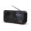 Radio portátil Sharp DR-P420 DAB+ FM Bluetooth 16 h Negro