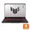 ASUS TUF Gaming A16  FA608UP-R72B57CS1 AMD Ryzen 7 260/32GB/1TB SSD/RTX 5070/16" (PT)
