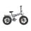 Bicicleta elétrica ENGWE EP-2 BOOST, motor de 250 W, bateria de 48 V e 13 Ah, dobrável, 120 km