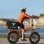 Bicicleta elétrica ENGWE EP-2 BOOST, motor de 250 W, bateria de 48 V e 13 Ah, dobrável, 120 km