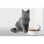 Dispensador automático de alimentos Petkit Fresh Element Mini Smart 2.8L WiFi Blanco