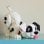 Set de construcción Lego 43269 Cachorro de 101 Dálmatas 1722 piezas 22cm Disney adulto
