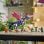 Set de construcción LEGO NINJAGO Dragón Maestro Rontu 71842 381 piezas articulado