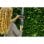 Aparador de sebes Gardena ComfortCut 60/18 V P4A 60 cm ErgoLine LED com cabo 3,6 kg, preto