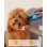 Kit de toilettage rechargeable pour animaux Oneisall, 2 lames, 6 accessoires, silencieux