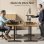 Convertidor de escritorio Sense7 Altura regulable 12,5-49cm Acero 2 niveles MDF 13kg