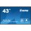 Écran professionnel iiyama LH4365UHSB-B1 43″ 4K UHD 800 nits Android 11 Wi-Fi 24h/24 et 7j/7
