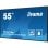 Professioneller Monitor iiyama 54.6" 4K UHD IPS Android 11 Wi-Fi 4GB/32GB