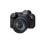 Canon EOS R6 Mark II 24,2 MP 4x optischer Zoom CMOS-Sensor WiFi Touchscreen RF 24-105 mm F4 L IS USM Kompakte Digitalkamera