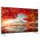 TV Haier LED 70? 4K UHD HDR10 Google TV Dolby VRR ALLM Sin Marcos