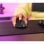 Ratón Trust inalámbrico 4800 DPI RGB ultraligero recargable 6 botones
