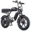 Bici elettrica ENGWE M1 Motore 48V 250W Pneumatici 20x4.0 Freni a disco idraulici Nero